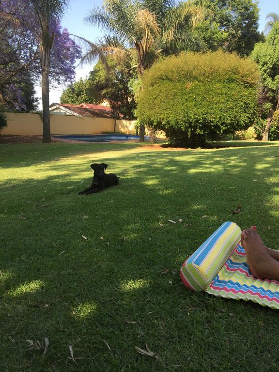 Khuvena Guesthouse Randburg Eksteriør billede